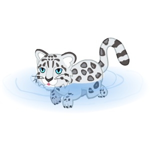 Paddling Snow Leopard